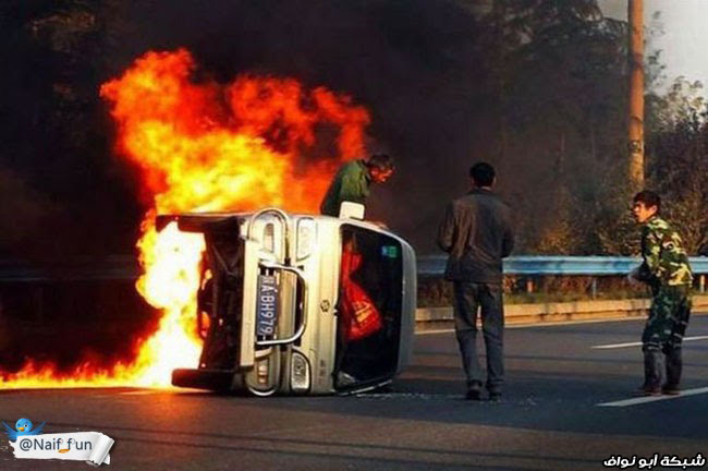 صور + فيديو : تعدى مرحلة التهور + هجوم البعوض‎