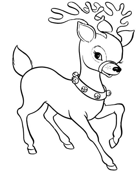 spotted racer deer coloring pages  pictures  cliparts