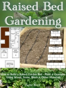 Raised Bed Gardening Plans and Tips For Growing More ...
