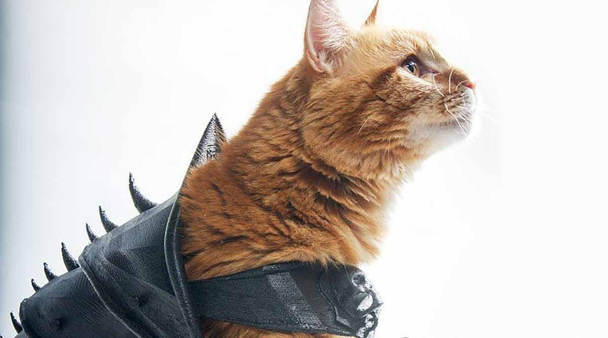 Yes Your Cat  Absolutely Needs 3D  Printed Battle Armor Make 