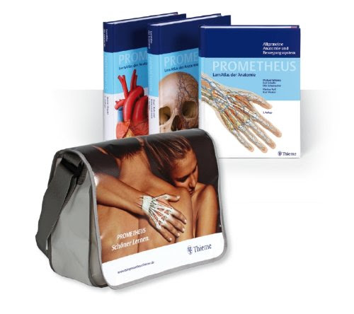 PROMETHEUS LernPaket Anatomie 3131601825 pdf