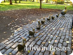 I live in Boston