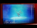 √無料でダウンロード！ ポケモン ムウマ 進化 123107-ポケモン ムウマ 進化
