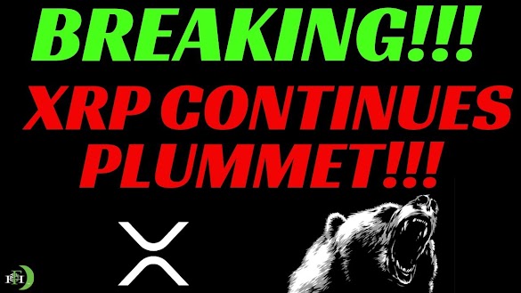 How To Trade Xrp On Robinhood / Binance.US Adds XRP to USD Fiat Pair On It's Mobile App ... - It's relative to how much cash you have.