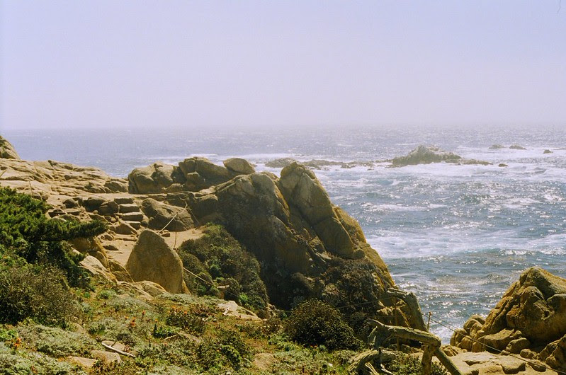 Point Lobos - California