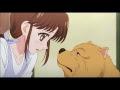 √完了しました！ アニメ 犬 名前 284359-アニメ 犬 名前