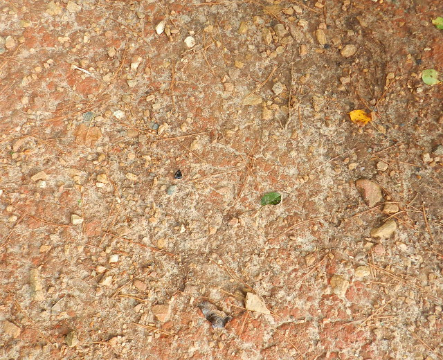 abcweddrDSCN4797