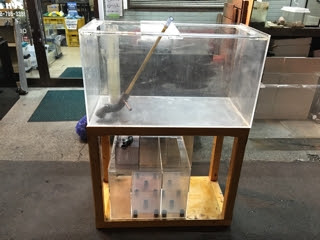 中古90cmアクリルオーバーフロー水槽セット 入荷情報ブログ アクアヒス 熱帯魚 爬虫類 水槽 中古器具