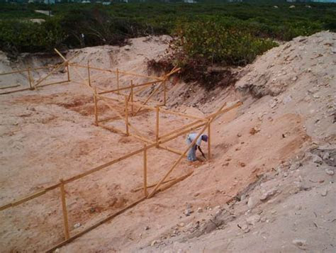building   tropics batter boards  cistern