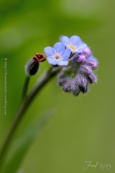 IMG_9060-signée