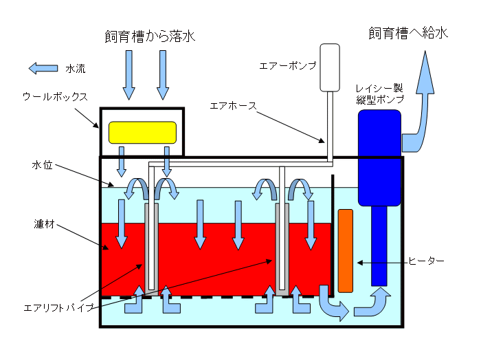 Foolsの60cmオーバーフロー水槽製作記 濾過槽製作編