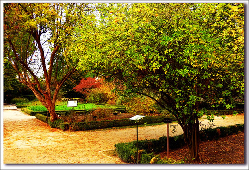 otoño