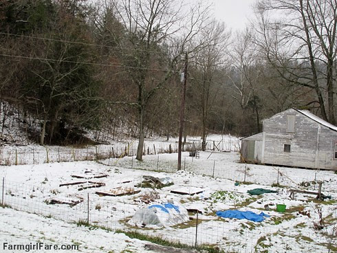 the kitchen garden on January 1, 2013, view from the upstairs of the new house - FarmgirlFare.com