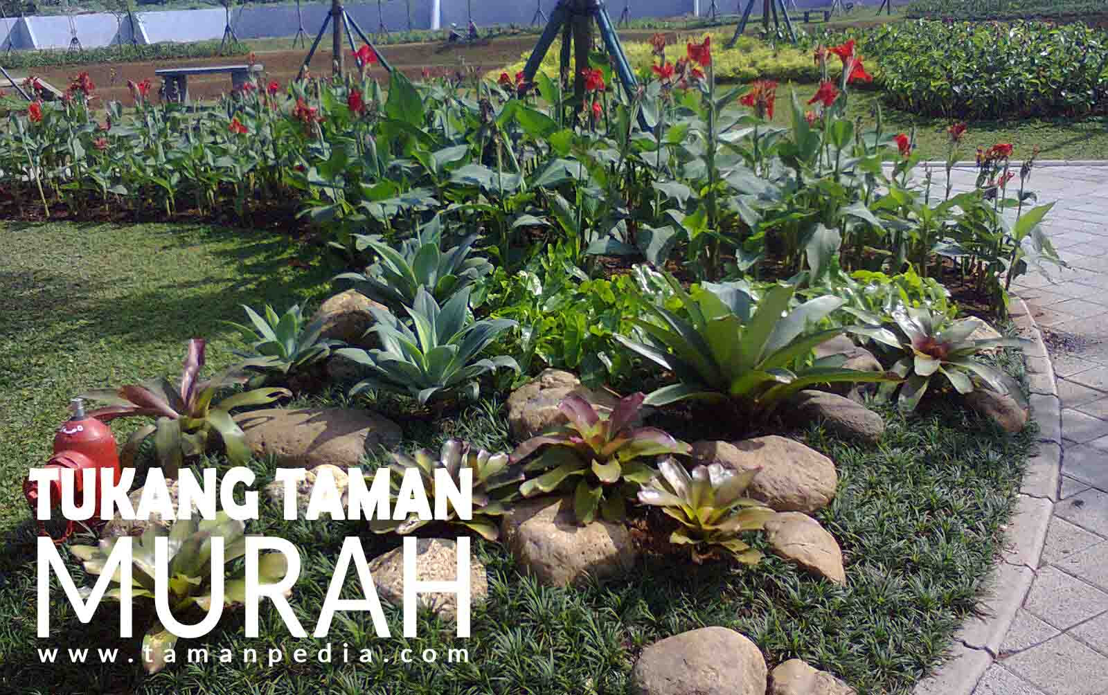 Mudah Ternyata Begini Cara Membuat Taman Sendiri Di Rumah