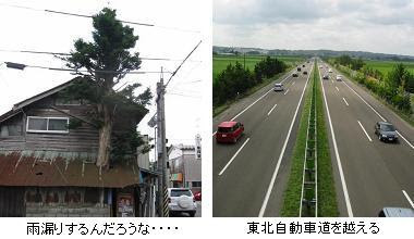 東北一周徒歩旅行３８日目 小塩 宮城県大崎市 大柳 宮城県大衡村 歩きつなぎの旅 の記録 楽天ブログ
