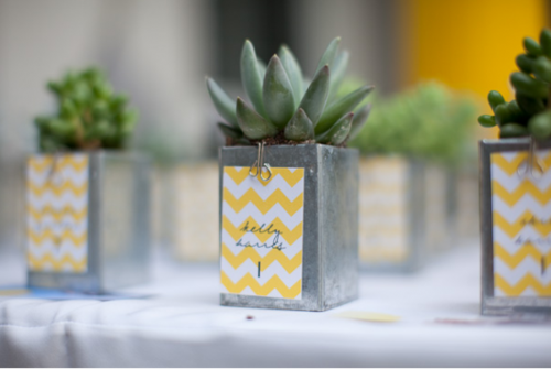 chevron-escort-card-chevron-party-favors-escort-card-and-party-favor-small-plant