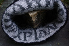 knit_mantinia2