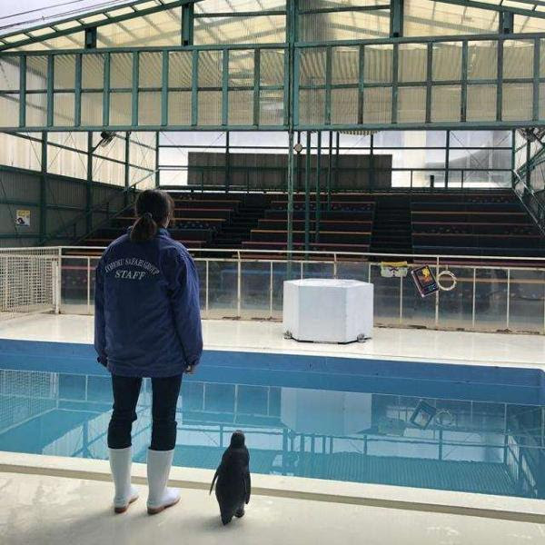 この寂れた街にもう一度観光客を呼び戻すんだ 水へのボケ ボケて Bokete