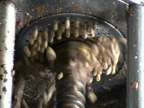 Video สูตรอาหาร กุ้ง