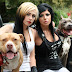 Is Pit Bulls And Parolees Filming In 2022 / Pit bulls and parolees pit bulls and parolees cast member death pitbulls and parolees tia torres son died.