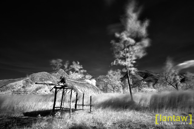 Nagsasa Backwoods in mono IR