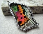 Real Butterfly Wing Jewelry - Pendant - Madagascan Sunset Moth
