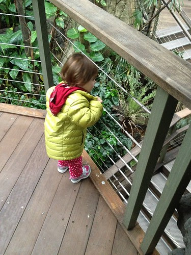 Central Park zoo