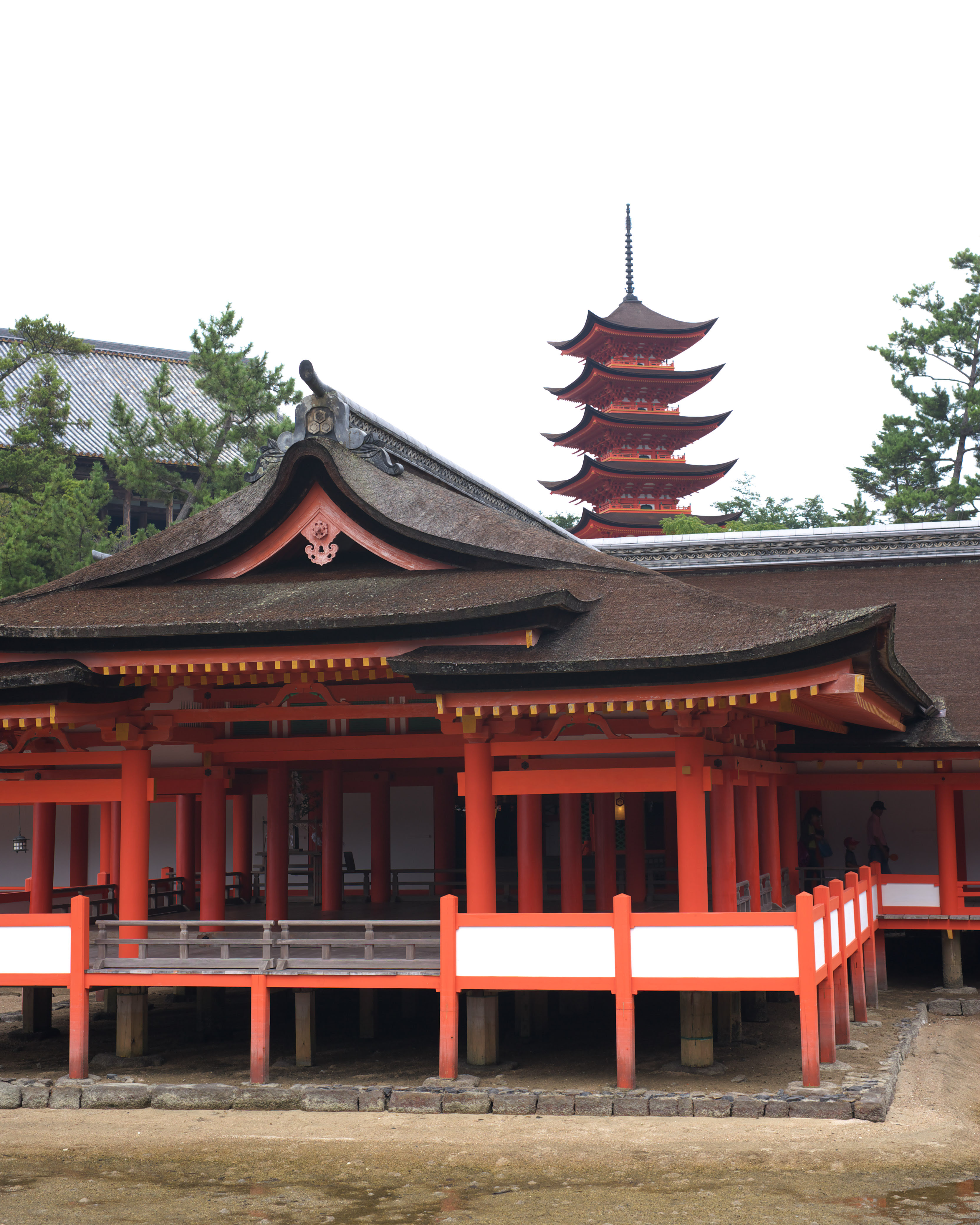 ゆんフリー写真素材集 No 3924 厳島神社の本殿 日本 広島