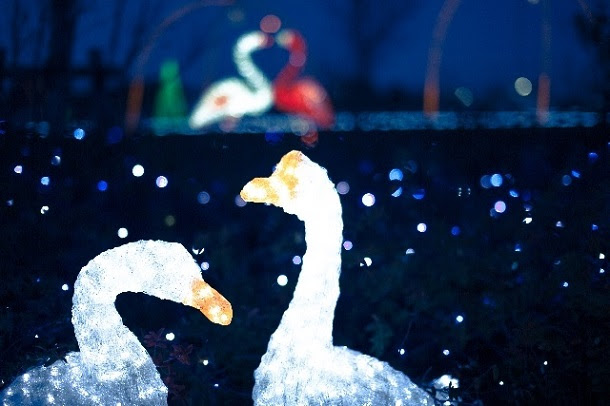 クリスマスやカウントダウンは何してる 12月の女子大生 の実態に迫る