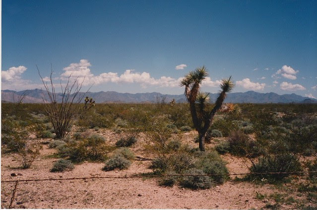 John Wilkie Rest Area, I-40