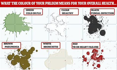  phlegm color chart bestvup phlegm color chart hereqfile covid