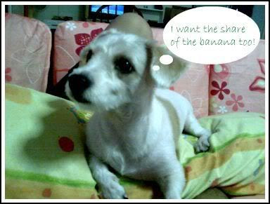 I wanna the share of the banana!
