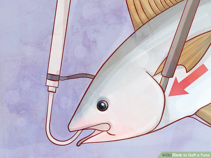 Gaff a Tuna Step 4.jpg