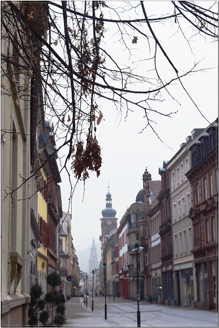 DSC_0176