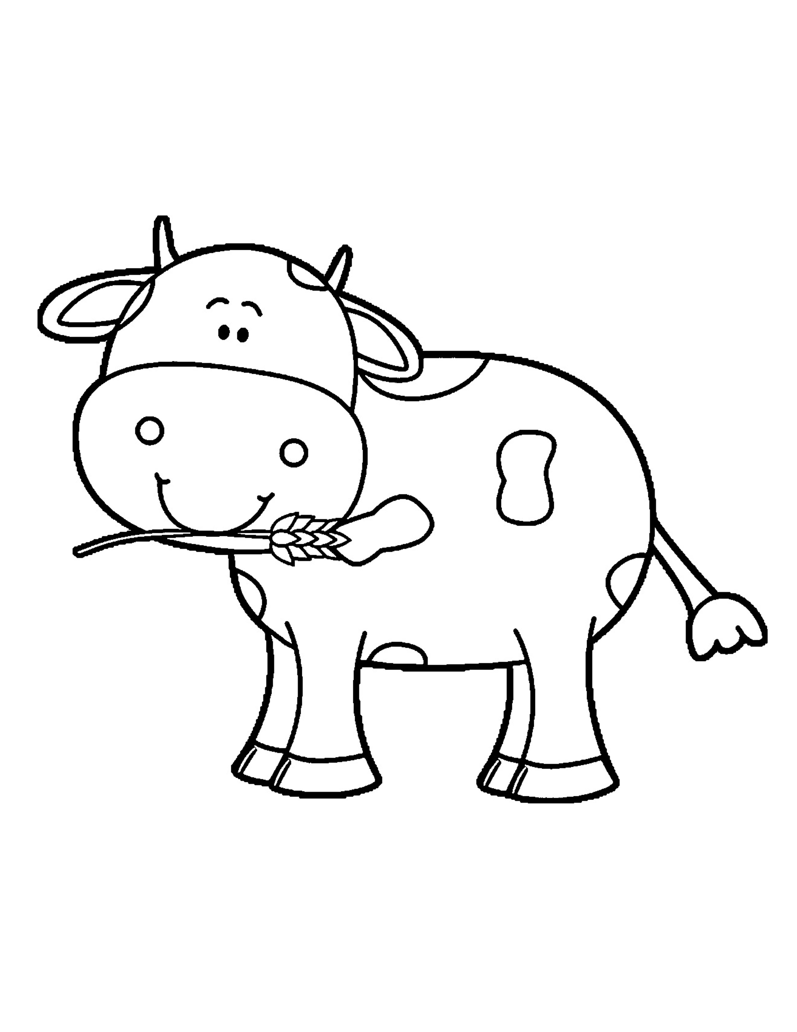 baby cow coloring pages at getcoloringscom free printable colorings