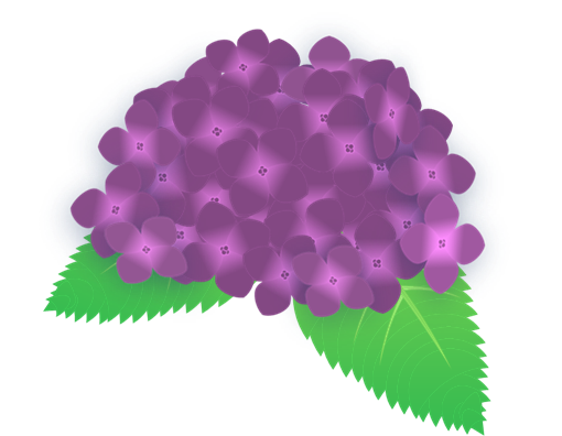 紫のあじさいのイラスト 無料イラスト素材 ちいさないきもの