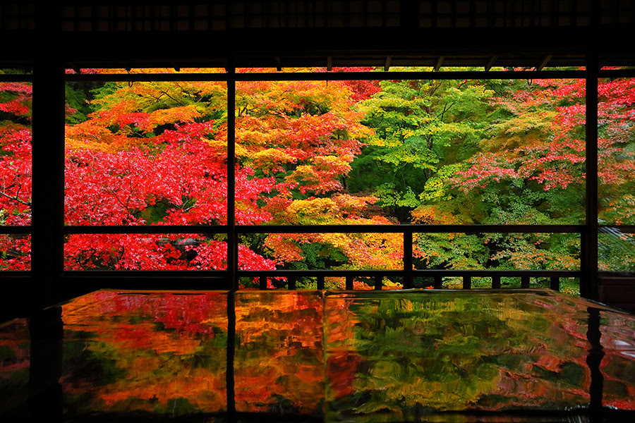 京都 紅葉