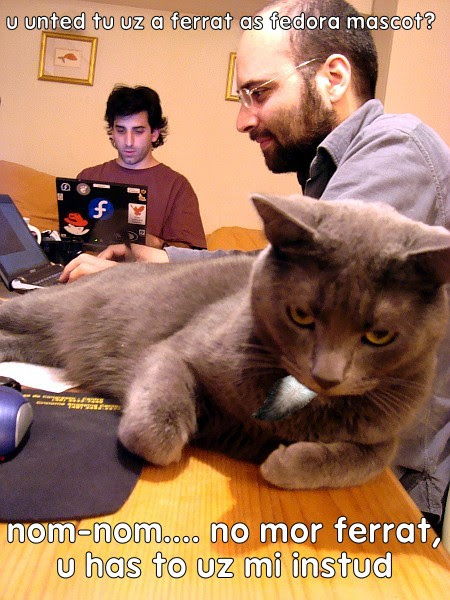 i can has mascot?