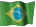 Brazilian