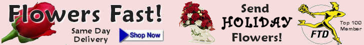 Send Holiday Flowers - Flowers Fast Online Florist