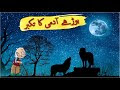 Miracle of GOD | Allah Ki Qudrat Ka Mojza | Sachi Kahaniyan | urdu gossip