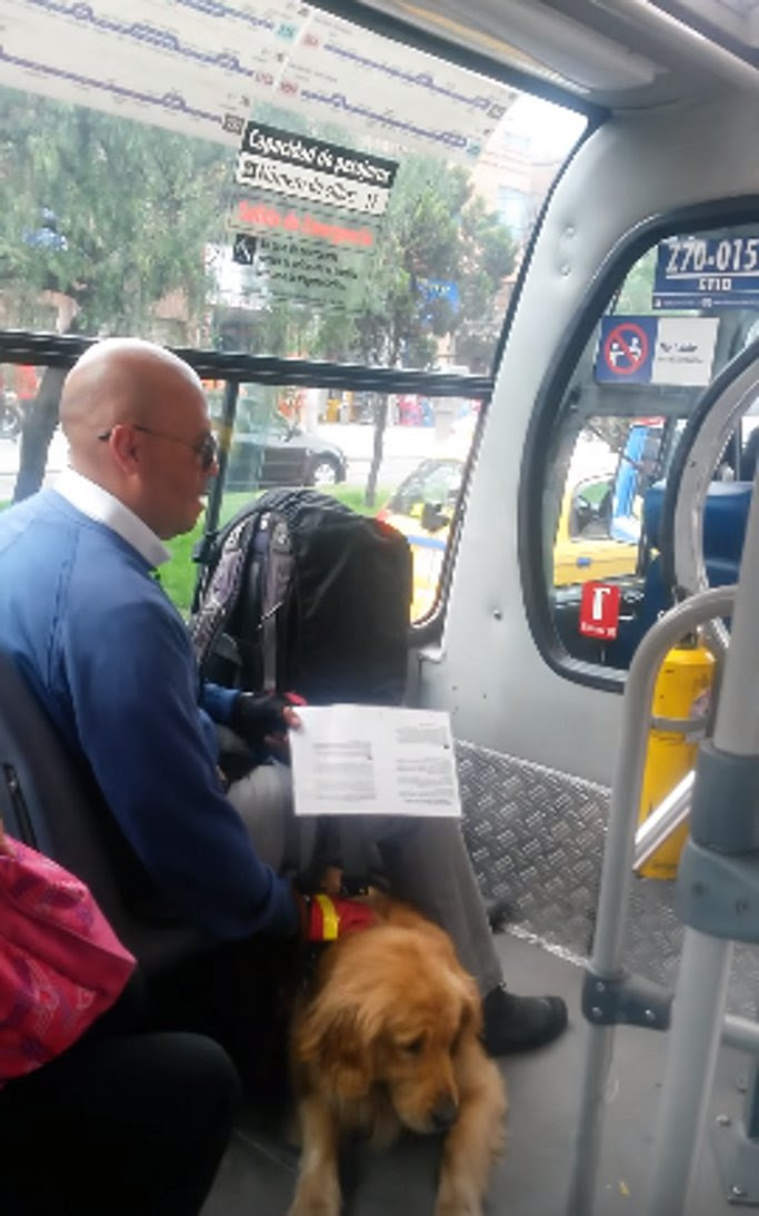 介助犬とバスに乗車した男性 運転手が 犬をバス停に置いていけ と言い放つと 乗車していた乗客が猛抗議 Petfun 動物やペットに関する情報サイト