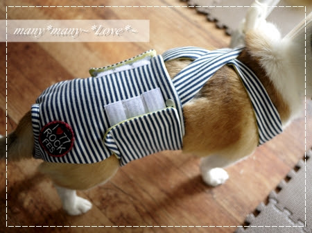 アレンジカラーのトレーナー 犬用おむつカバー Snuggle Pattern Blog