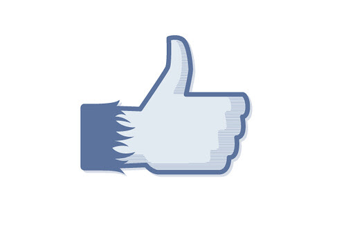 facebook like icon.  version of the Facebook 'Like' thumbs up icon for a blog post, 