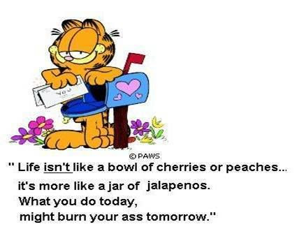 funny pictures jokes. funny gay jokes