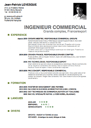 Exemple de CV débutant