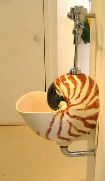http://i1127.photobucket.com/albums/l624/jexgill/Stange%20Toilets/shell.jpg
