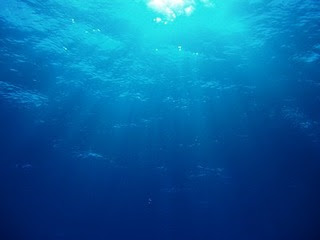 虚無澱淵 癒し壁紙 神秘なる海の中 厳選１０1 In The Sea Wallpapere Naver まとめ