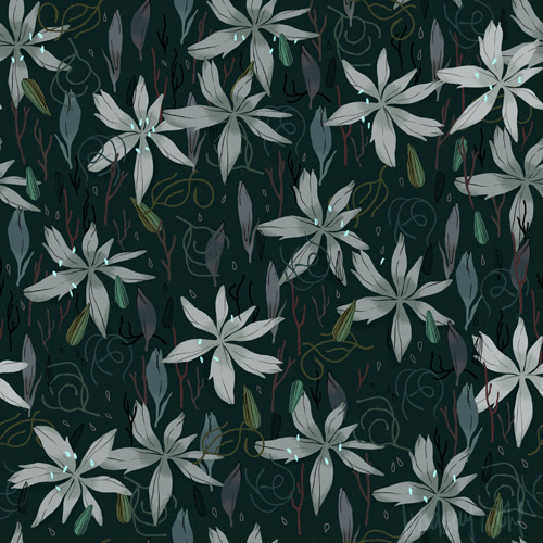 Amaryllis_lindsaynohl_sm
