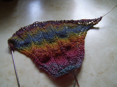 embryo shawl2
